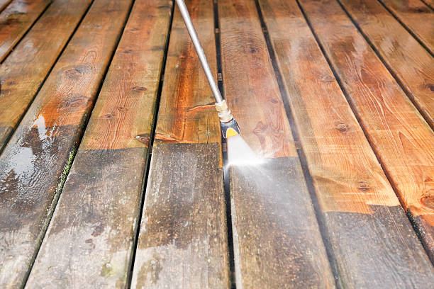 Best Animal Enclosure Cleaning  in Bonanza, GA